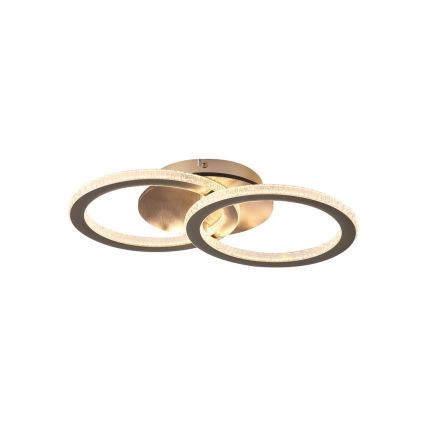 Searchlight - LED Stmívatelné stropní svítidlo SPECS LED/24W/230V 3000K 25x42,5 cm