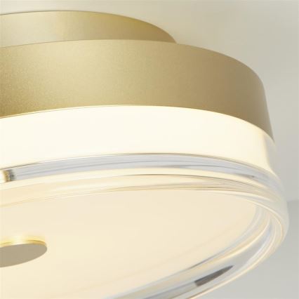Searchlight - LED Stropní svítidlo CYPRUS LED/21W/230V pr. 30 cm zlatá
