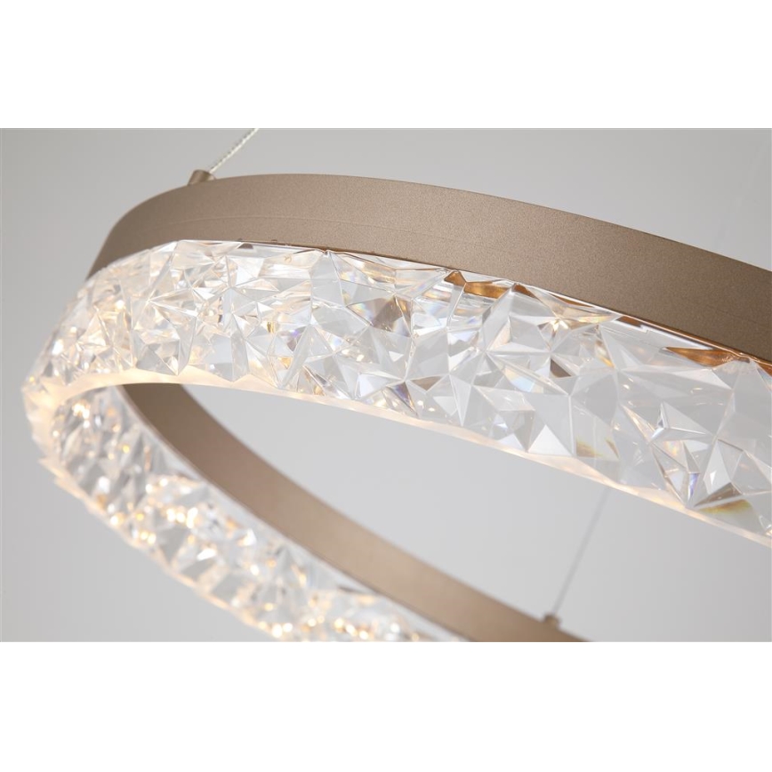 Searchlight - LED Stmívatelný lustr na lanku MADELEJNE LED/25W/230V