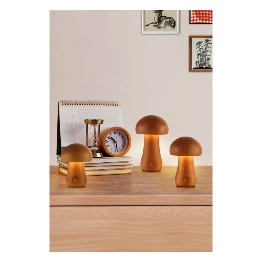 Searchlight - SADA 3x LED Stolní lampa MUSHROOM LED/1,1W/5V 800 mAh