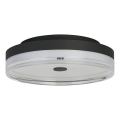 Searchlight - LED Stropní svítidlo CYPRUS LED/21W/230V pr. 30 cm černá