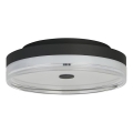 Searchlight - LED Stropní svítidlo CYPRUS LED/29W/230V pr. 40 cm černá