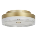Searchlight - LED Stropní svítidlo CYPRUS LED/29W/230V pr. 40 cm zlatá