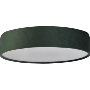 Searchlight - Stropní svítidlo DRUM 3xE27/60W/230V zelená