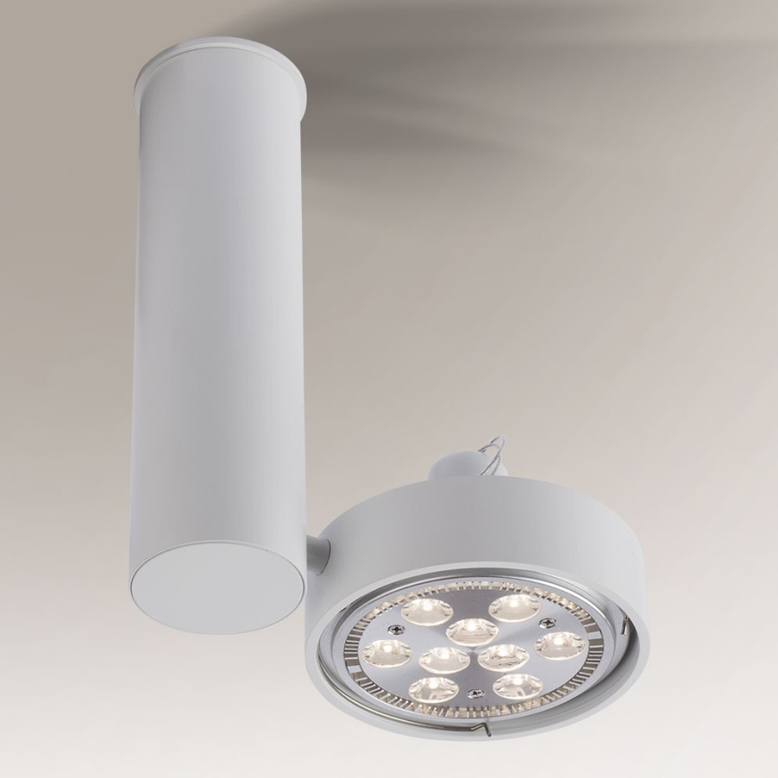 Shilo - Bodové svítidlo 1xGU10/15W/230V bílá