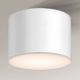 Shilo - Koupelnové stropní svítidlo 1xGX53/15W/230V IP44 bílá