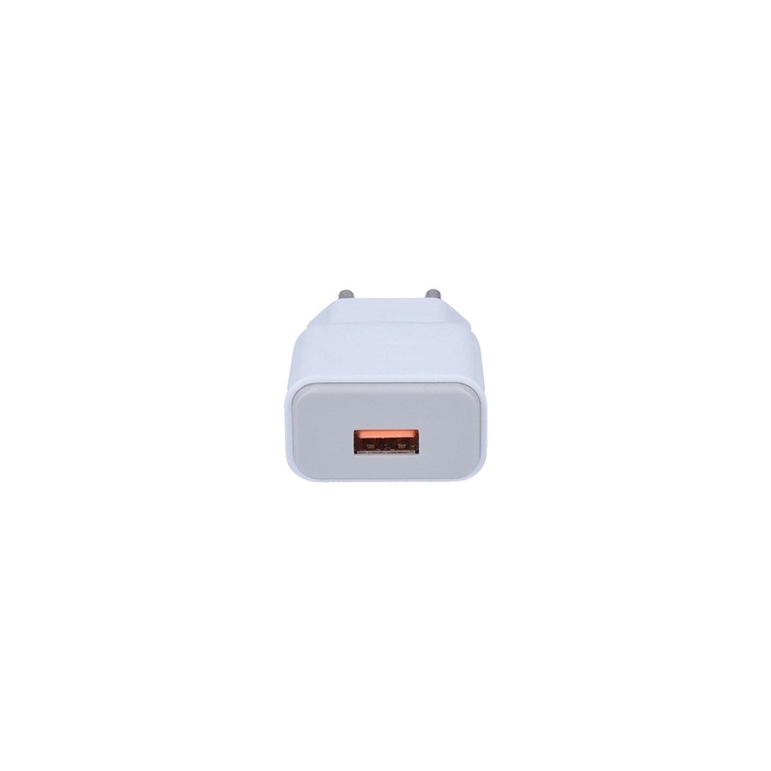 USB Nabíjecí adaptér 1xUSB/230V