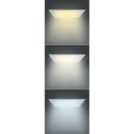 LED Panel LED/12W/230V 3000/4000/6000K 17x17 cm bílá