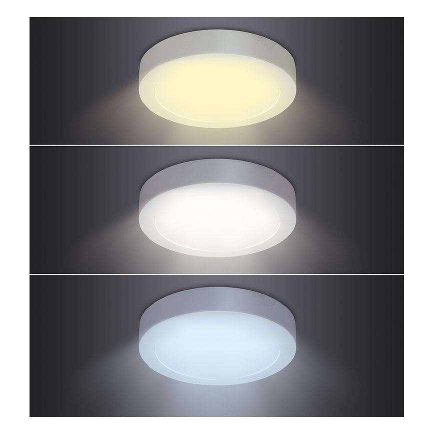 LED Stropní svítidlo LED/12W/230V 3000/4000/6000K pr. 17 cm bílá