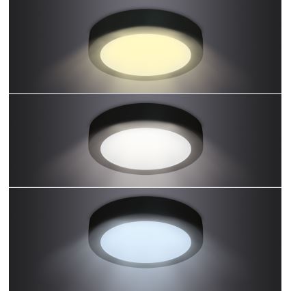 LED Stropní svítidlo LED/18W/230V 3000/4000/6000K černá kulatý