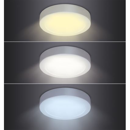 LED Stropní svítidlo LED/18W/230V 3000/4000/6000K pr. 22,5 cm bílá