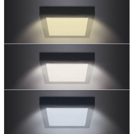 LED Stropní svítidlo LED/18W/230V 3000/4000/6000K černá hranatý