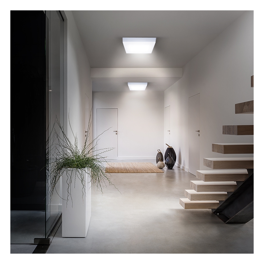 LED Stropní svítidlo LED/18W/230V 3000/4000/6000K 22,5x22,5 cm bílá