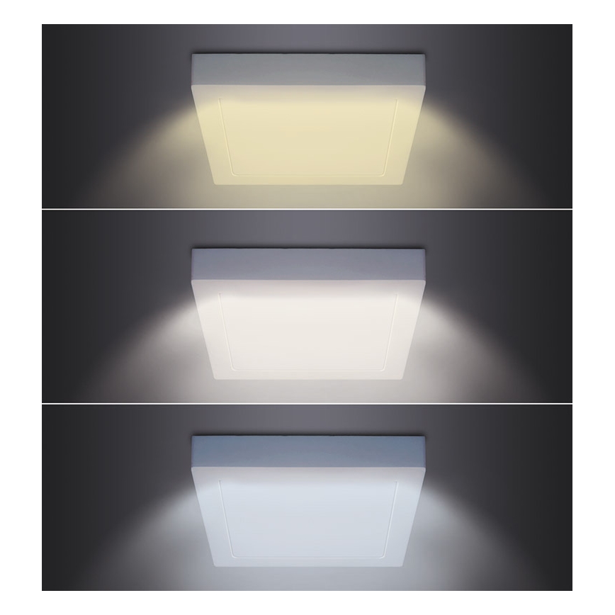 LED Stropní svítidlo LED/24W/230V 3000/4000/6000K 30x30 cm bílá