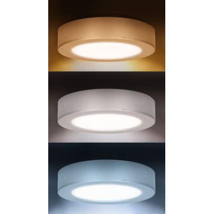 LED Přisazený/podhledový panel 2v1 LED/12W/230V 3000/4000/6000Kpr.17cm IP54 bílá