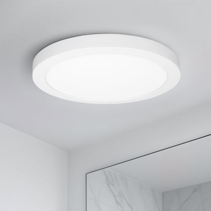 LED Přisazený/podhledový panel 2v1 24W/230V 3000/4000/6000K pr. 30 cm IP54 bílá