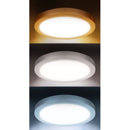 LED Přisazený/podhledový panel 2v1 24W/230V 3000/4000/6000K pr. 30 cm IP54 bílá
