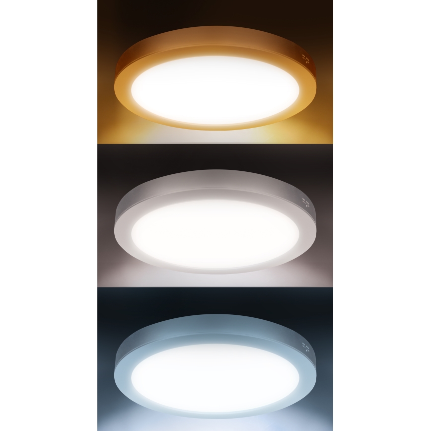 LED Přisazený/podhledový panel 2v1 24W/230V 3000/4000/6000K pr. 30 cm IP54 bílá