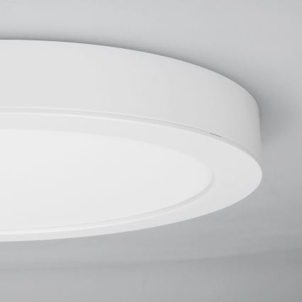 LED Přisazený/podhledový panel 2v1 24W/230V 3000/4000/6000K pr. 30 cm IP54 bílá