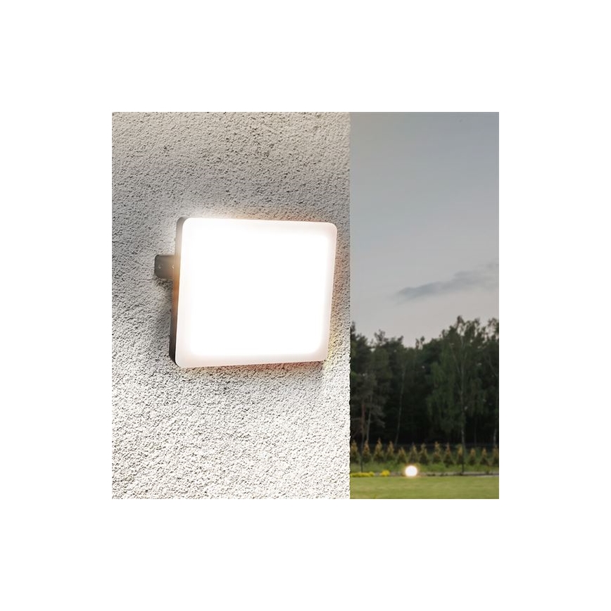 LED Venkovní reflektor LED/30W/230V 4000K IP65