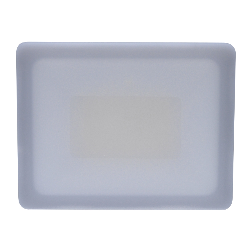 LED Venkovní reflektor LED/30W/230V 4000K IP65