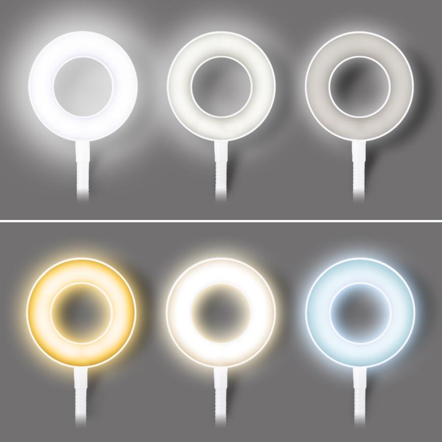 LED Stmívatelná stolní lampa s klipem LED/8W/230V 3000/4000/5000K bílá