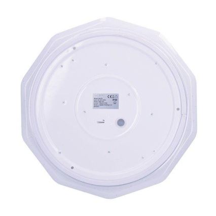 LED stropní svítidlo LED/18W/230V 365 mm