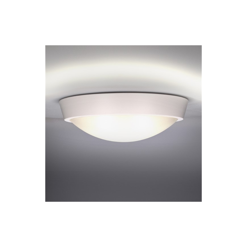 LED Venkovní stropní svítidlo 1xLED/18W/230V  IP65