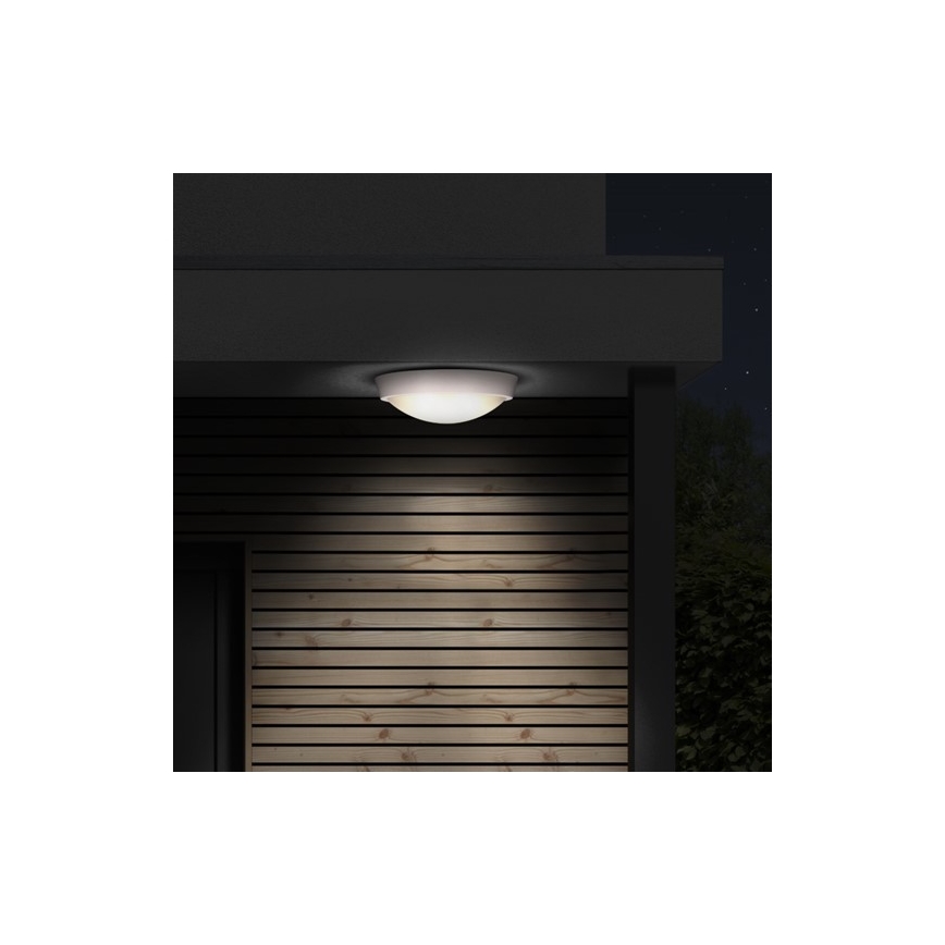 LED Venkovní stropní svítidlo 1xLED/30W/230V  IP65