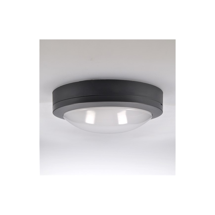 LED Venkovní stropní svítidlo LED/13W/230V IP54 antracit