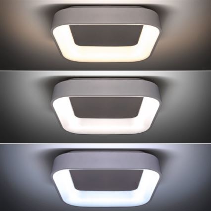 LED Stmívatelné stropní svítidlo LED/48W/230V + dálkové ovládání