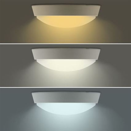 LED Venkovní nástěnné svítidlo 2v1 LED/20W/230V 3000/4000/6500K IP65 pr. 22 cm