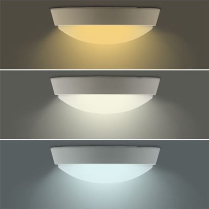 LED Venkovní svítidlo 2v1 LED/18W/230V IP54