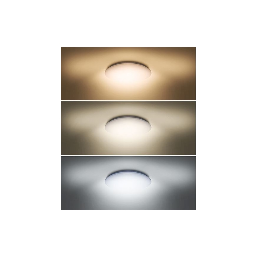 LED Stropní svítidlo PLAIN LED/24W/230V 3000K/4000K/6000K kulatý