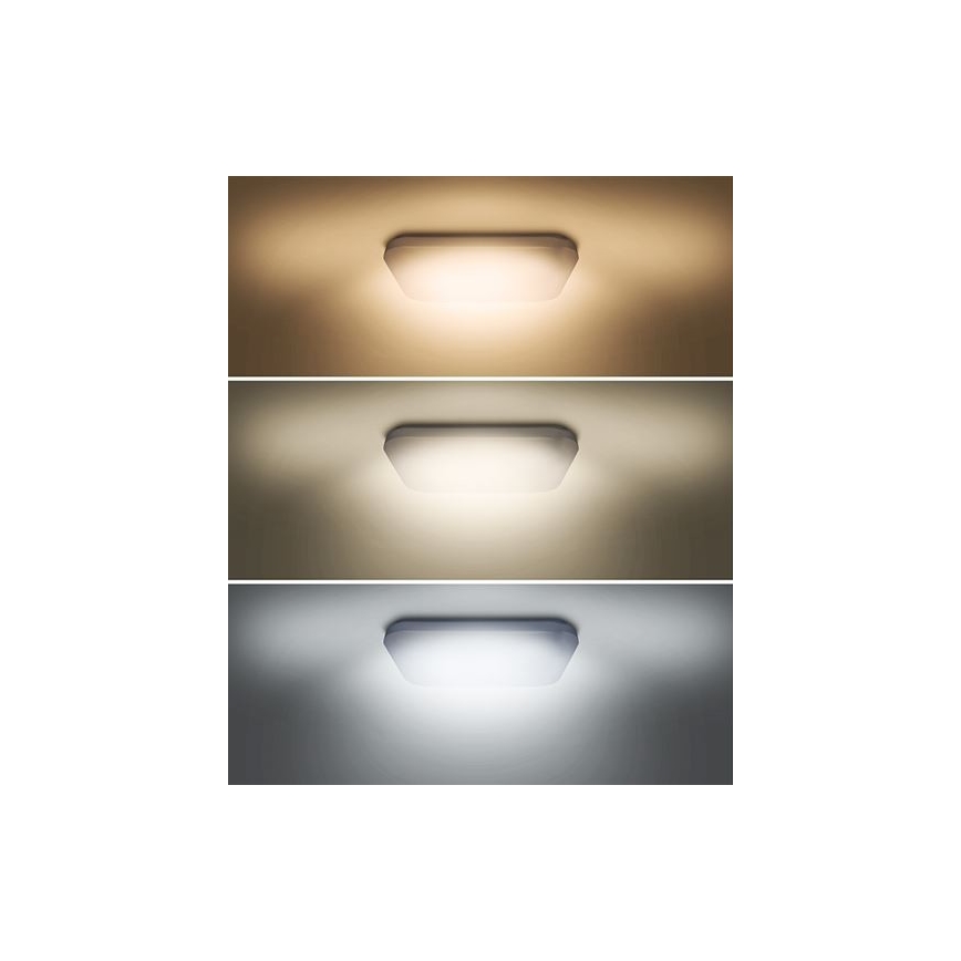 LED Stropní svítidlo PLAIN LED/24W/230V 3000K/4000K/6000K hranatý