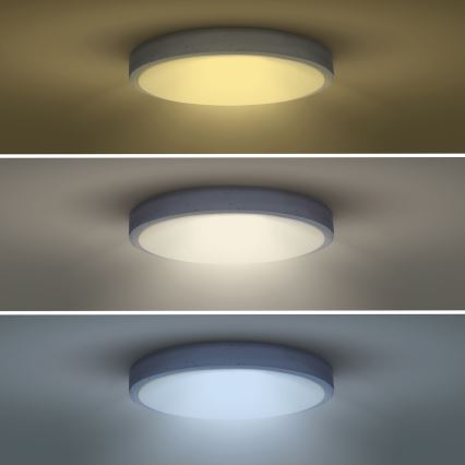 LED Stmívatelné stropní svítidlo GREY LED/60W/230V 3000-6500K šedá pr. 49 cm + dálkové ovládání