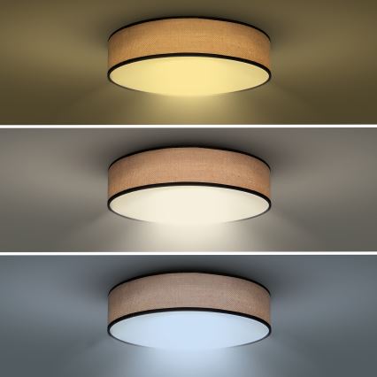LED Stmívatelné stropní svítidlo BROWNIE LED/60W/230V 3000-6500K hnědá pr. 50 cm + dálkové ovládání