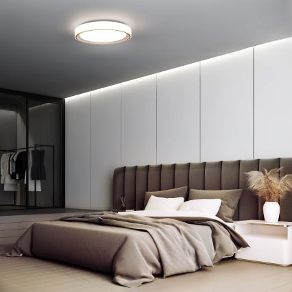 LED RGB Stmívatelné stropní svítidlo FLOCO LED/30W/230V 3000-6500K + RGB/6W pr. 40cm + dálkové ovládání