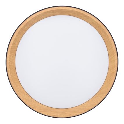 LED Stmívatelné stropní svítidlo LARIOS LED/48W/230V 3000-6500K pr.39 cm černá + dálkové ovládání