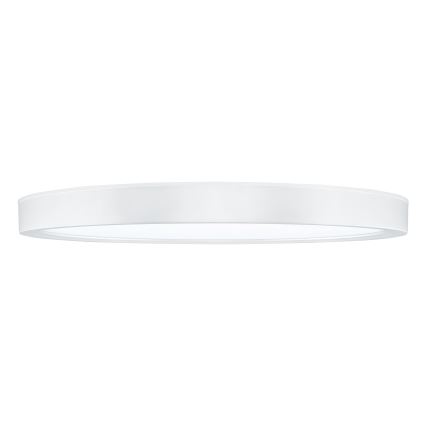 LED Stmívatelné stropní svítidlo ESTELA LED/36W/230V pr.30 cm bílá + dálkové ovládání