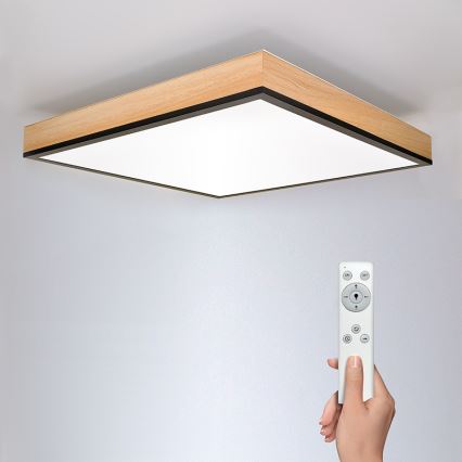 LED Stmívatelné stropní svítidlo LED/40W/230V 3000-6500K + dálkové ovládání