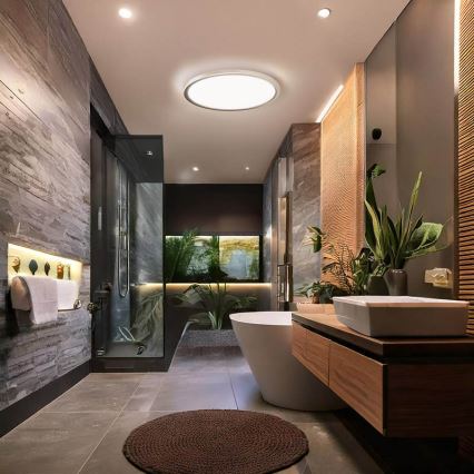 LED Koupelnové stropní svítidlo ACATE LED/24W/230V 3000/4000/6000K pr. 29,3 cm IP54