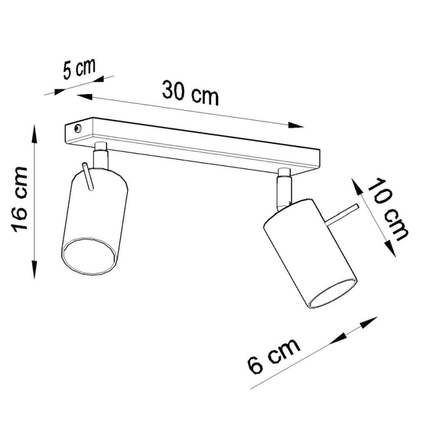 Stropní bodové svítidlo RING 2xGU10/10W/230V