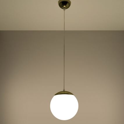 Lustr na lanku TOYA 1xE27/60W/230V pr. 20 cm
