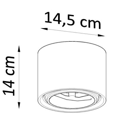 Bodové svítidlo KALU 1xGU10/40W/230V