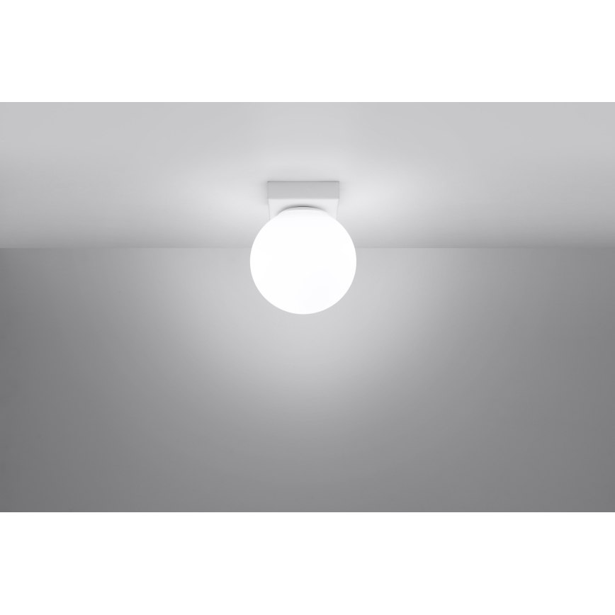 Stropní svítidlo YOLI 1xG9/12W/230V bílá