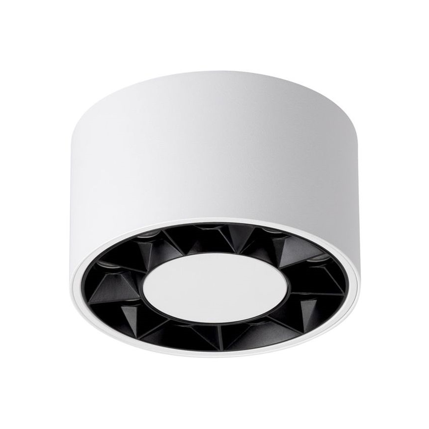 LED Bodové svítidlo DIO LED/10W/230V bílá