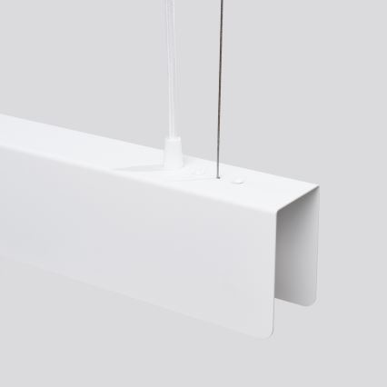 LED Lustr na lanku SPARK 1xG13/8,5W/230V bílá