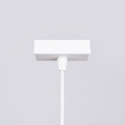 LED Lustr na lanku SPARK 1xG13/8,5W/230V bílá