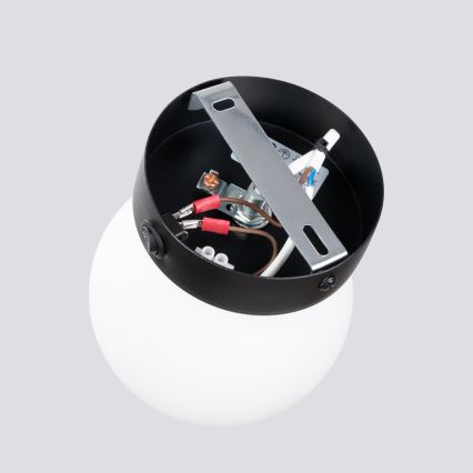 Nástěnné svítidlo YOLI 1xG9/8W/230V černá